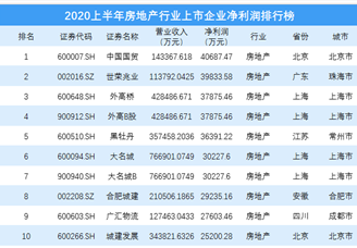 2020上半年房地產行業上市企業淨利潤排行榜 top100