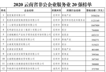 2020云南非公企业服务业20强排行榜
