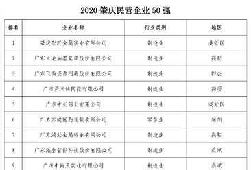 2020肇庆民营企业50强排行榜