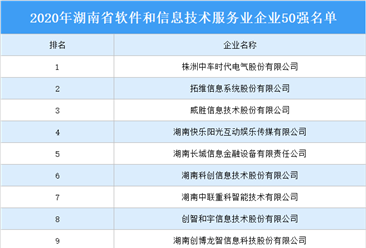 2020年湖南省软件和信息技术服务业企业50强公示名单出炉（附详细名单）