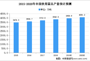 2020年中國食用菌存在問題及發展前景預測分析
