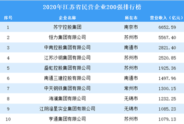 2020年江苏省民营企业200强排行榜