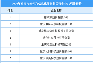 2020年重庆市软件和信息化服务业民营企业10强排行榜