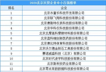2020年北京市民营企业中小百强排行榜