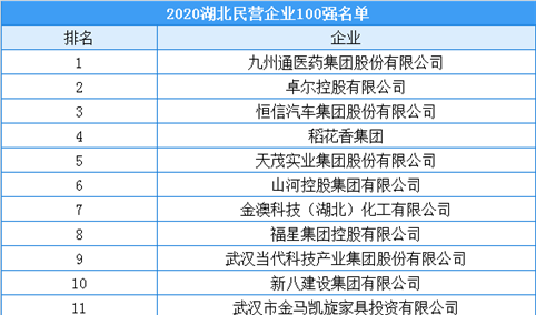 2020年湖北省民营企业100强排行榜