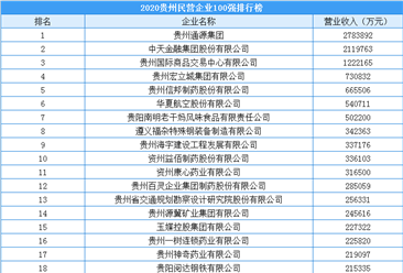 2020年贵州省民营企业100强排行榜（附完整榜单）