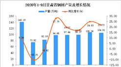 2020年9月甘肃省钢材产量数据统计分析