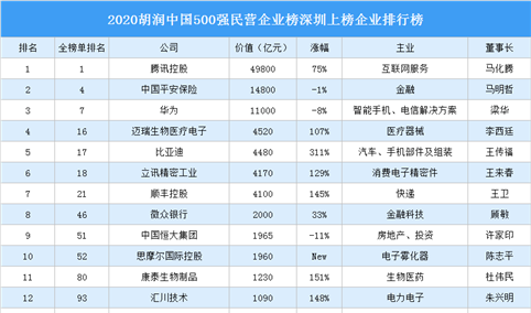 2020胡润中国500强民营企业榜深圳上榜企业排行榜（附榜单）