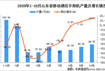 2020年10月山东省手机数据统计分析
