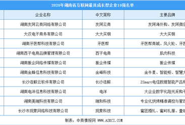 2020年湖南省互联网最具成长企业10强排行榜