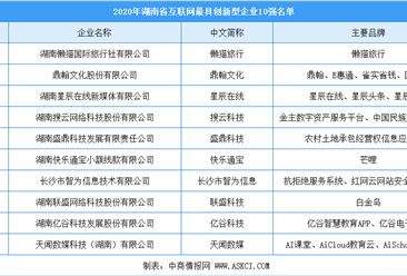 2020年湖南省互联网创新型企业10强排行榜