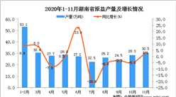 2020年11月湖南省原盐产量数据统计分析
