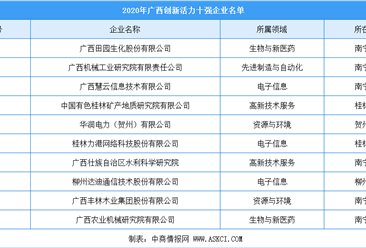 2020年广西高新技术企业创新活力10强排行榜