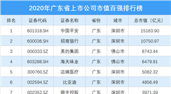 2020年广东省上市公司市值百强排行榜
