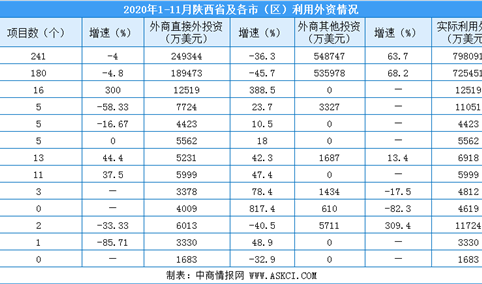 2020年1-11月陕西省新设外商投资企业241家  实际利用外资增长9.9%