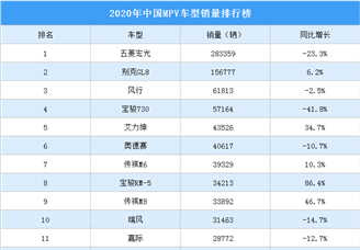 2020年中国MPV车型销量排行榜
