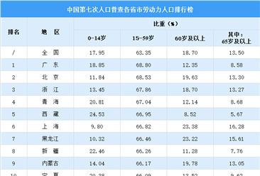 第七次人口普查各省市劳动力人口排行榜：广东位列第一 青海西藏位居前五（图）