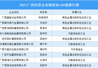 2021广西民营企业制造业100强排行榜（附完整榜单）