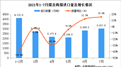 2021年7月中国煤及褐煤进口数据统计分析
