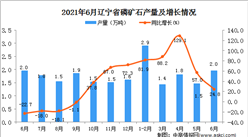 2021年6月辽宁省磷矿石产量数据统计分析
