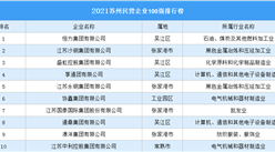 2021苏州民营企业100强排行榜（附榜单）