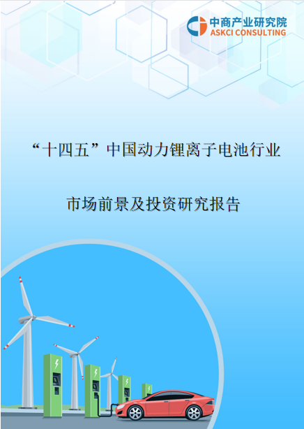 2021年“十四五”中国动力锂离子电池行业市场前景及投资研究报告