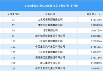 2021年中国企业500强榜山东上榜企业排行榜（附榜单）