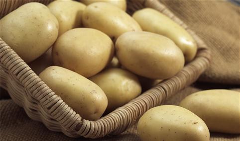 马铃薯单产逐年增加    2021年中国马铃薯行业发展现状分析（图）