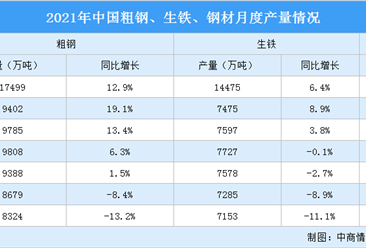 2021年1-8月中国钢铁行业运行情况：粗钢产量同比下降13.2%（图）