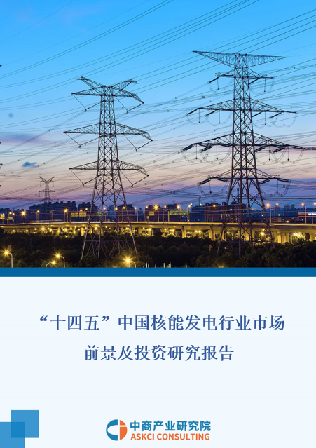 2021年“十四五”中国核电行业市场前景及投资研究报告