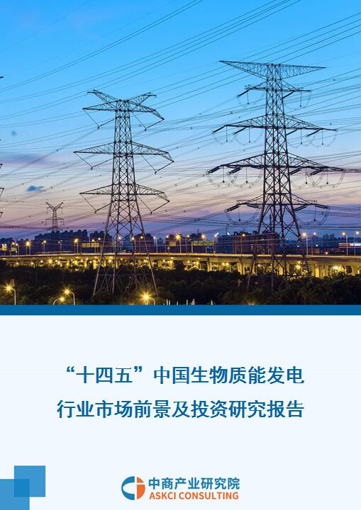 2021年“十四五”中国生物质能发电行业市场前景及投资研究报告