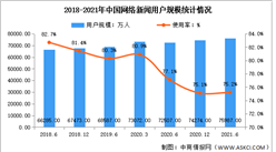 2021年上半年中国网络新闻行业规模统计及未来发展趋势预测分析（图）