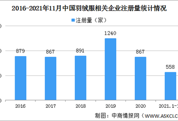 羽绒服涨价中高端产品断货断码 2021年中国羽绒服行业发展现状分析（图）