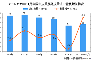 2021年1-11月中國牛皮革及馬皮革進口數據統計分析