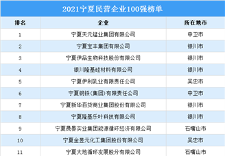 2021宁夏民营企业100强排行榜（附榜单）
