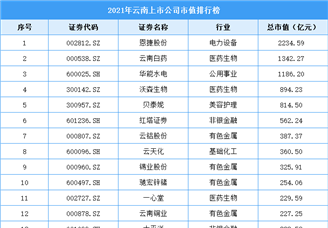 2021年云南上市公司市值排行榜（附全榜单）