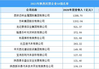 2021年陕西省民营企业50强榜单（附完整榜单）