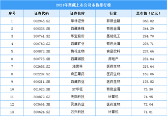 2021年西藏上市公司市值排行榜（附全榜单）