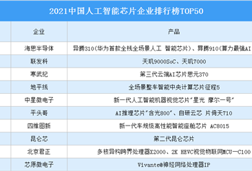 2021中国人工智能芯片企业排行榜TOP50