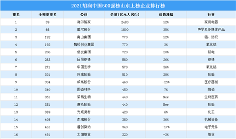 2021胡润中国500强榜山东上榜企业排行榜（附榜单）