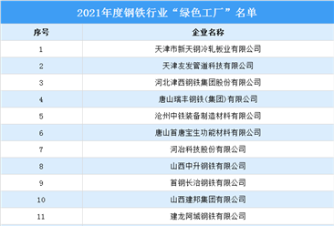 2021年度中国钢铁行业绿色制造名单