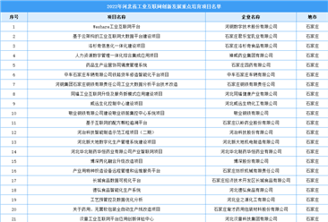 2022年河北省工业互联网创新发展重点培育项目名单（图）
