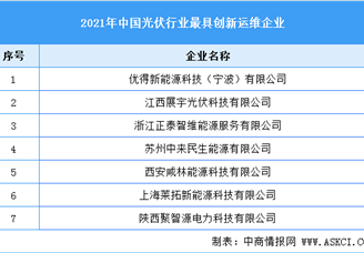 2021年中国光伏行业最具创新运维企业榜单