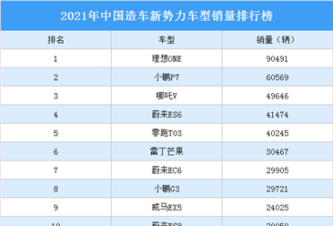 2021年中国造车新势力车型销量排行榜（附榜单）