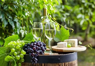 2021年度中国葡萄酒精品酒庄20强名单（附名单）