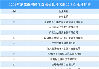 2021年东莞市规模效益成长性排名前20名企业排行榜（附榜单）