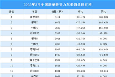 2022年2月中国造车新势力车型销量排行榜（附榜单）