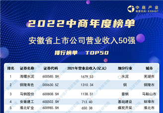 2022年安徽省上市公司营业收入排行榜（附榜单）