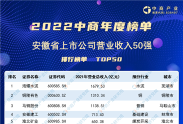 2022年安徽省上市公司营业收入排行榜（附榜单）