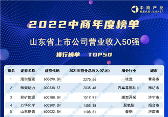 2022年山东省上市公司营业收入排行榜（附榜单）